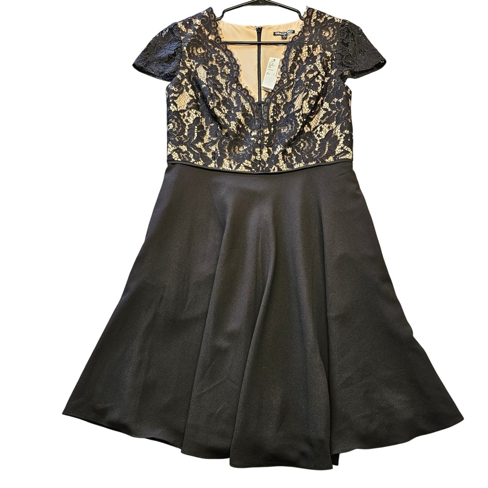 NWT Gianni Bini Elise Black Lace Nude Illusion Fit Flare Cocktail Dress Sz 4 NEW